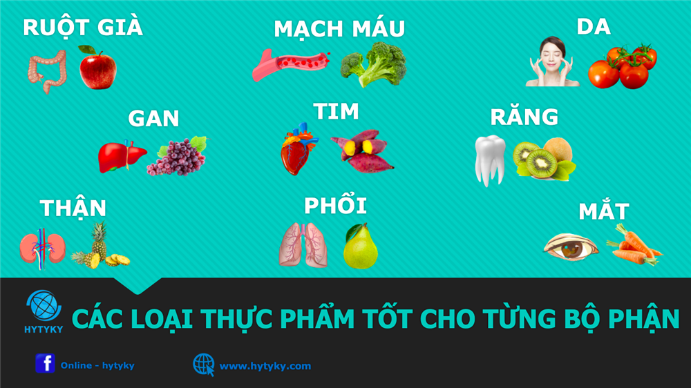 CÁC LOẠI THỰC PHẨM TỐT CHO TỪNG BỘ PHẬN