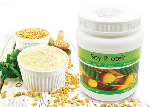   SOY PROTEIN
